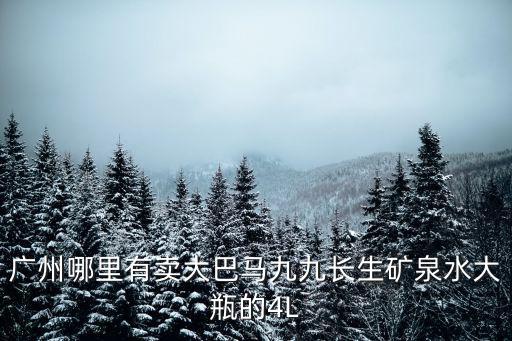 廣州哪里有賣大巴馬九九長(zhǎng)生礦泉水大瓶的4L
