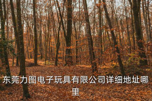 東莞力圖電子玩具有限公司詳細(xì)地址哪里