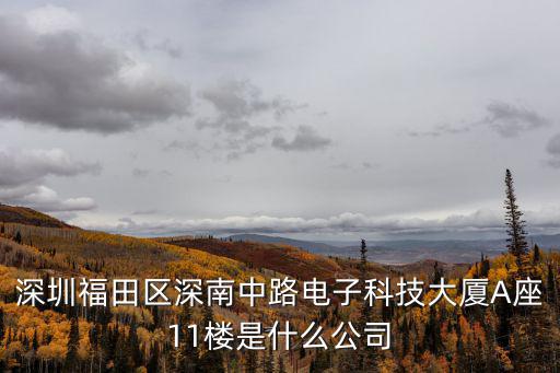 深圳福田區(qū)深南中路電子科技大廈A座11樓是什么公司
