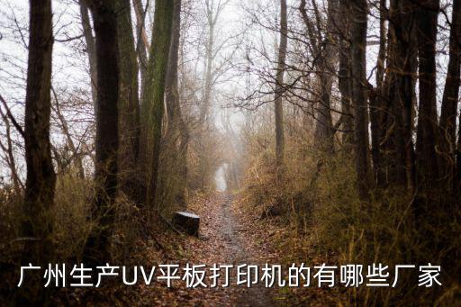 廣州生產(chǎn)UV平板打印機的有哪些廠家