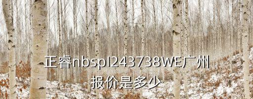 正睿nbspI243738WE廣州報價是多少