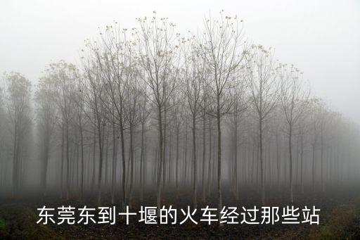 東莞東到十堰的火車(chē)經(jīng)過(guò)那些站