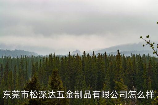 東莞市松深達五金制品有限公司怎么樣