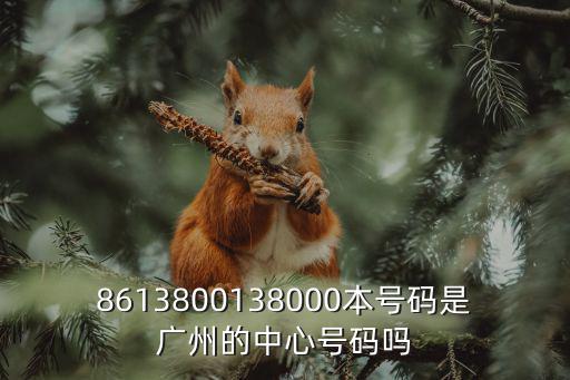 8613800138000本號碼是廣州的中心號碼嗎