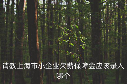 請教上海市小企業(yè)欠薪保障金應該錄入哪個