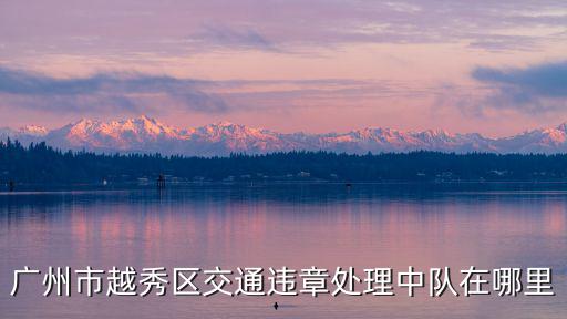 廣州市越秀區交通違章處理中隊在哪里