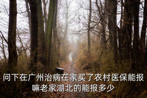 問下在廣州治病在家買了農(nóng)村醫(yī)保能報嘛老家湖北的能報多少
