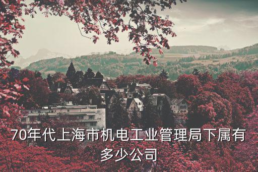 70年代上海市機電工業(yè)管理局下屬有多少公司
