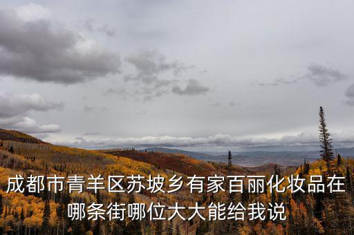 成都市青羊區(qū)蘇坡鄉(xiāng)有家百麗化妝品在哪條街哪位大大能給我說