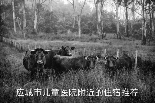 應(yīng)城市兒童醫(yī)院附近的住宿推薦