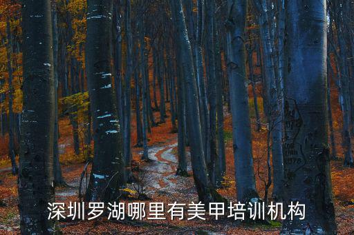 深圳羅湖哪里有美甲培訓(xùn)機(jī)構(gòu)