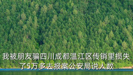 四川成都市溫江區置信老人公寓，成都市溫江巨龍酒店