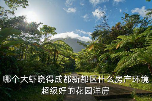成都市新都區網紅房，哪個大蝦曉得成都新都區什么房產環境超級好的花園洋房