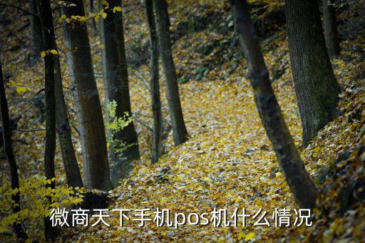 微商天下手機pos機什么情況