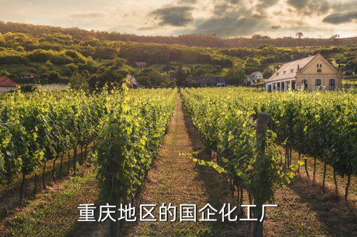 重慶地區(qū)的國(guó)企化工廠