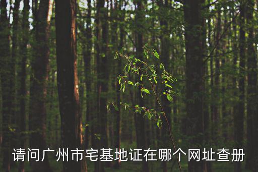 廣州白云區房產查詢，廣州市白云區房管局查詢宅基地證的詳情