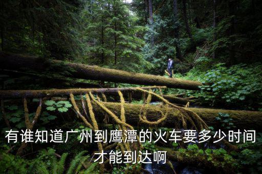 廣州 鷹潭 高鐵時(shí)刻表查詢，從鷹潭到廣州動(dòng)車的具體時(shí)刻表