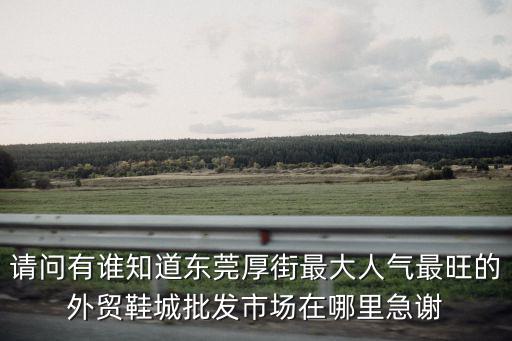 東莞厚街寮夏外貿市場，請問有誰知道東莞厚街最大人氣最旺的外貿鞋城批發市場在哪里急謝
