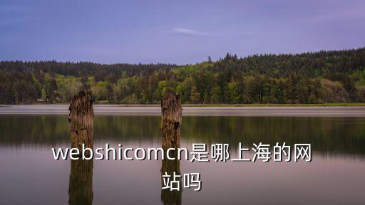 上海市浦東外事服務學校網頁，webshicomcn是哪上海的網站嗎