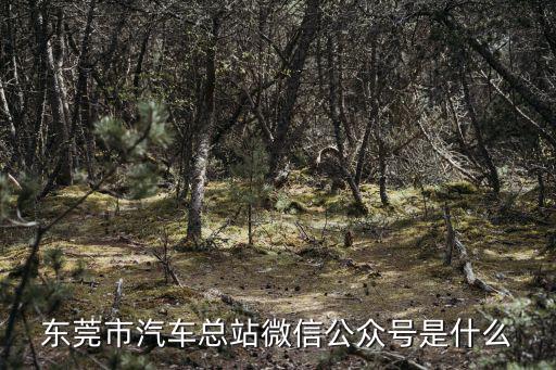 東莞市汽車總站微信公眾號是什么