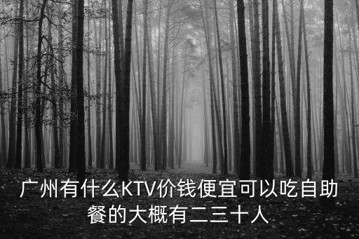 廣州有什么KTV價錢便宜可以吃自助餐的大概有二三十人