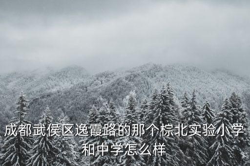 成都武侯區(qū)逸霞路的那個棕北實驗小學(xué)和中學(xué)怎么樣