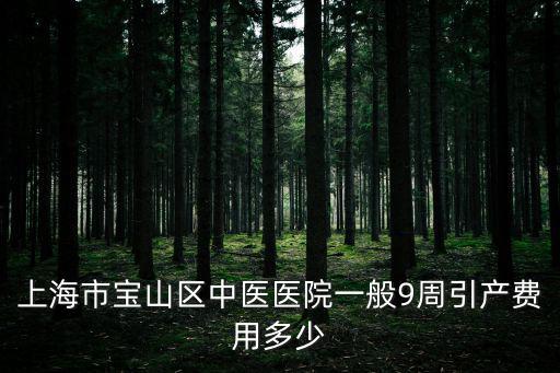 上海市寶山區中醫醫院一般9周引產費用多少