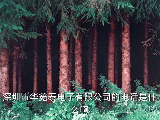 深圳市華鑫泰電子有限公司的電話是什么啊