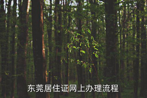 東莞居住證網上辦理流程