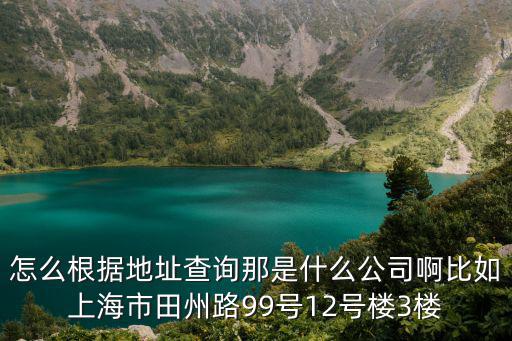 怎么根據(jù)地址查詢那是什么公司啊比如上海市田州路99號(hào)12號(hào)樓3樓
