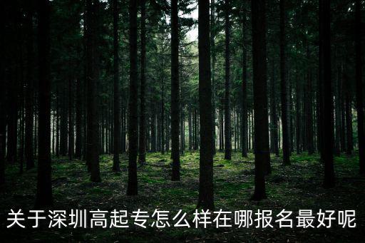 關(guān)于深圳高起專怎么樣在哪報名最好呢