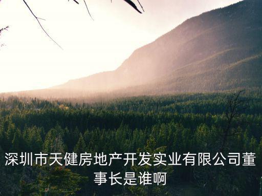 深圳市天健房地產(chǎn)開發(fā)實(shí)業(yè)有限公司董事長是誰啊