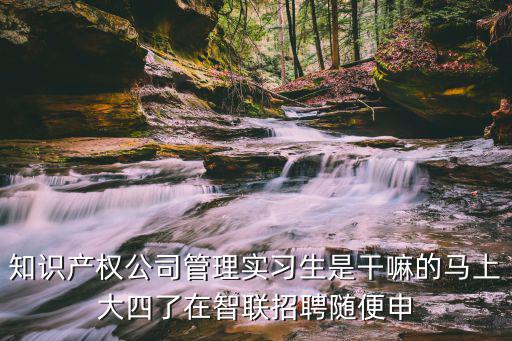知識產(chǎn)權(quán)公司管理實(shí)習(xí)生是干嘛的馬上大四了在智聯(lián)招聘隨便申