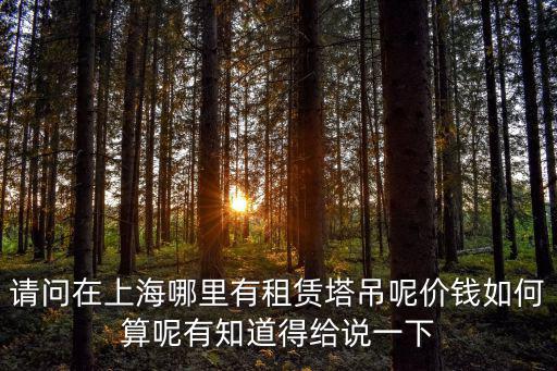 上海市塔機租賃，請問在上海哪里有租賃塔吊呢價錢如何算呢有知道得給說一下