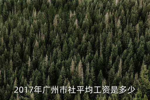 廣州2017養(yǎng)老平均，廣州市現(xiàn)在的人均收入是多少