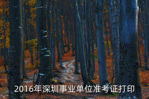 2016年深圳事業(yè)單位準(zhǔn)考證打印