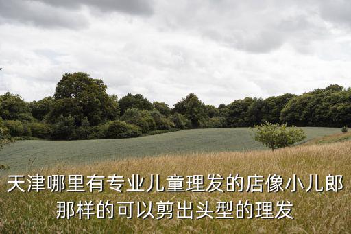 天津市河北區兒童理發，請問天津市河北區哪有照兒童攝影的大概報價
