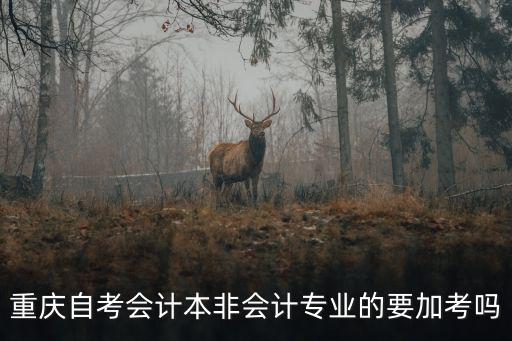 重慶自考會計(jì)本非會計(jì)專業(yè)的要加考嗎