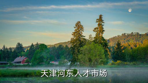 天津河?xùn)|人才市場(chǎng)