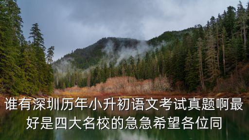 深圳小升初考試金卷，深圳中學歷年小升初真題大全