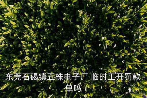 東莞石碣鎮(zhèn)五株電子廠 臨時(shí)工開(kāi)罰款單嗎