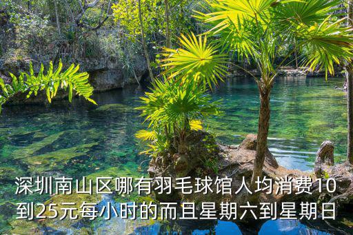 深圳南山區(qū)哪有羽毛球館人均消費(fèi)10到25元每小時(shí)的而且星期六到星期日