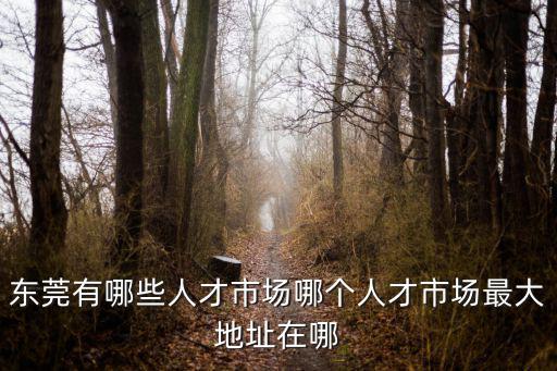 東莞有哪些人才市場哪個(gè)人才市場最大地址在哪