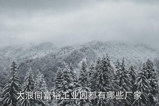 大浪同富裕工業園都有哪些廠家