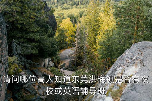 請問哪位高人知道東莞洪梅鎮是否有夜校或英語輔導班