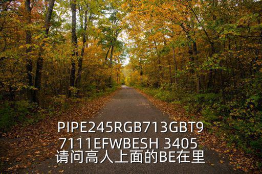 深圳市萬(wàn)德龍電子商務(wù)有限公司，PIPE245RGB713GBT97111EFWBESH 3405 請(qǐng)問(wèn)高人上面的BE在里