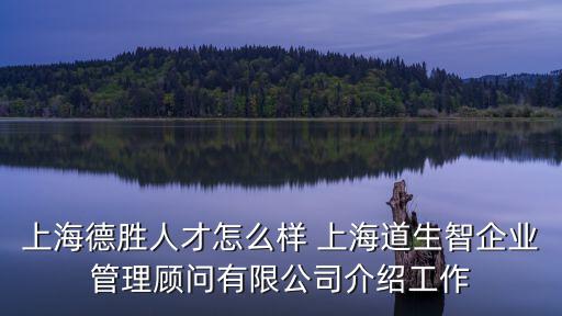 上海德勝人才怎么樣 上海道生智企業管理顧問有限公司介紹工作