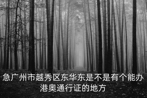 急廣州市越秀區(qū)東華東是不是有個(gè)能辦港奧通行證的地方