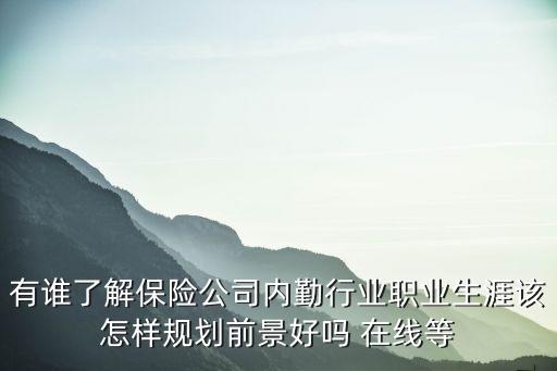 有誰了解保險(xiǎn)公司內(nèi)勤行業(yè)職業(yè)生涯該怎樣規(guī)劃前景好嗎 在線等