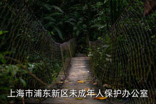上海市未成年人心理網，上海市心理咨詢中心的網址